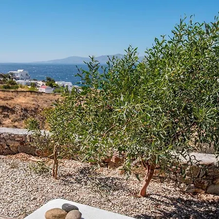 Daire Lilly's Seaview Mykonos Town