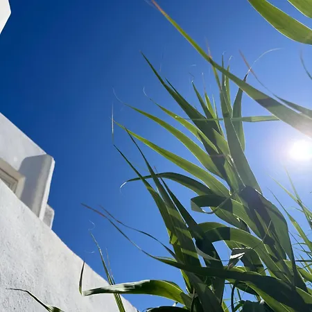 Διαμέρισμα Lilly's Seaview *